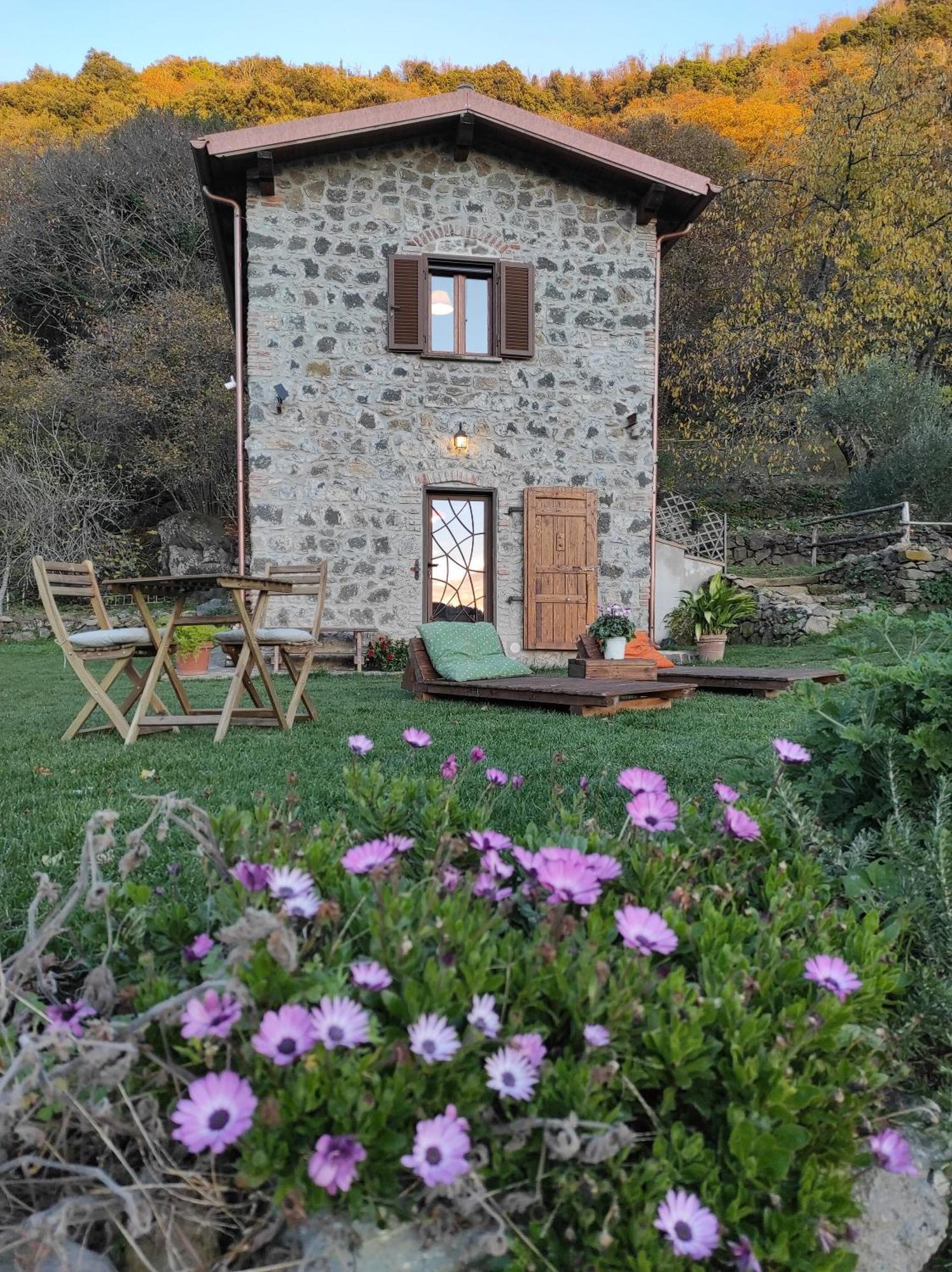 Il Nemus Agriturismo Villa Nemi Dış mekan fotoğraf